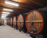 Vinoplod winery vinarija | Babić Vinoplod Šibenik 0,75 l | Dostava vina i ostalih proizvoda u marine direktno na vaše plovilo!